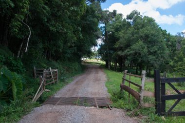 Ağaçlı toprak yolu, mavi gökyüzü ve arka planda bulutlar