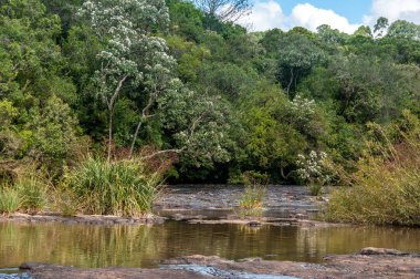 Yanında orman olan güzel bir nehir manzarası ve arkasında bulutlar olan mavi bir gökyüzü.