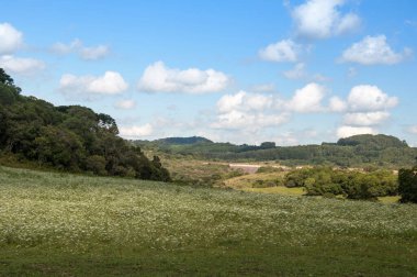 Ağaçlı, dağlı ve arkasında bulutlar olan mavi gökyüzü.