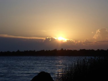 Yazın güzel bir gölet manzarası