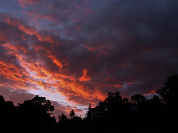 stock image red sunset in the field