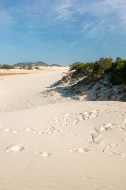 Garopaba sahilindeki kum tepeleri, Brezilya 