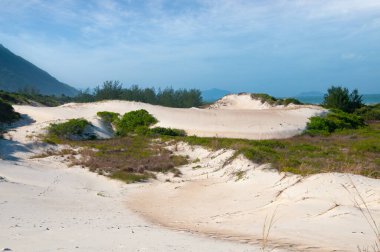 Garopaba sahilindeki kum tepeleri, Brezilya 