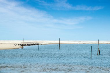 Göletin güzel manzarası