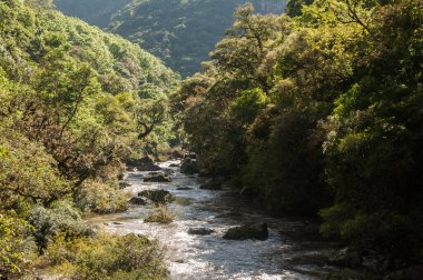 Dağlardaki nehrin güzel manzarası