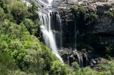 Ormanda güzel bir şelale manzarası