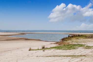 Yazın güzel bir gölet manzarası