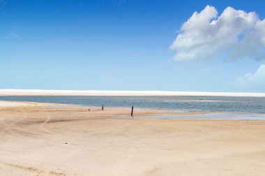 Yazın güzel bir gölet manzarası