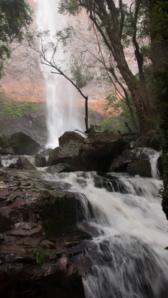 森林中的瀑布 — 图库照片