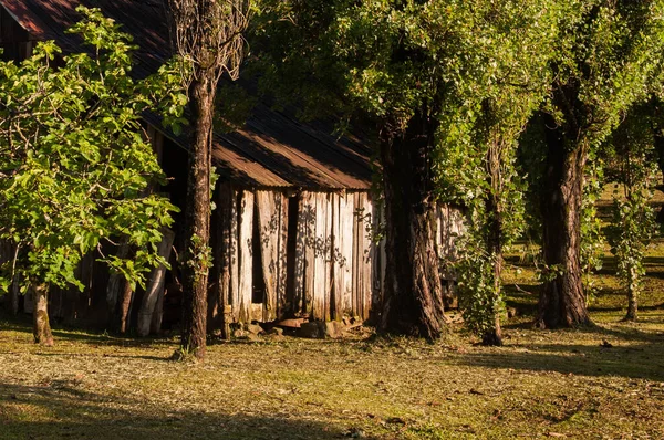 Stary Drewniany Dom Nad Lasem — Zdjęcie stockowe