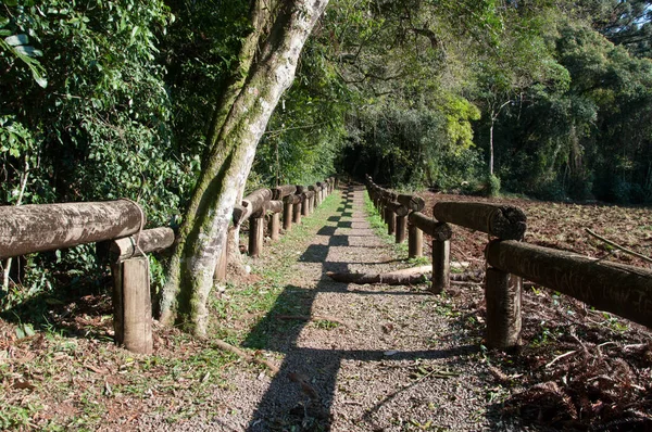 Camino Madera Bosque — Foto de Stock