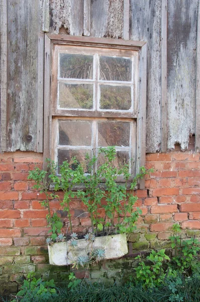 Vieille Fenêtre Mur Une Maison — Photo