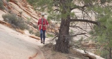 Zion Utah 'ta kayalık uçurum boyunca yürüyen maceraperest yaşlı kadın. Yürüyüş personeli kumtaşı kayalıklarına tırmanırken emekli olan aktif yaşlı bir kadın.