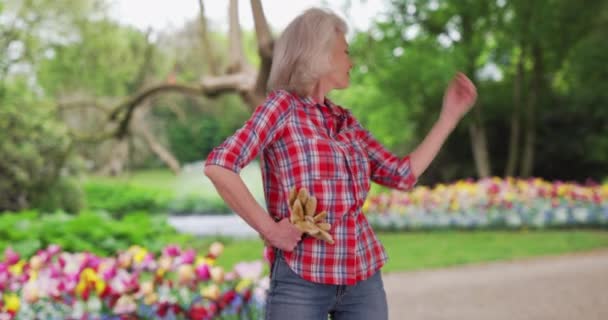 Старша Кавказька Жінка Стоїть Громадському Квітковому Саду Трудовими Рукавицями Зріла — стокове відео