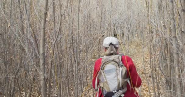 Mujer Mayor Aventurera Con Bastones Caminando Por Bosque Árboles Muertos — Vídeo de stock