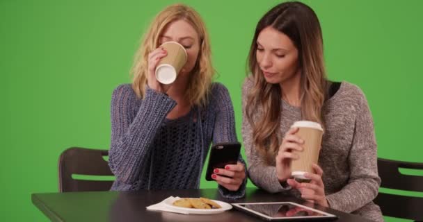 Paar Glücklicher Mädchen Die Zusammen Trinken Während Sie Auf Dem — Stockvideo
