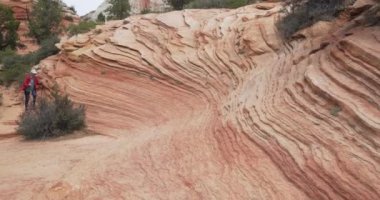 Zion Utah 'ta kumtaşı uçurumunda yürüyüş yapan aktif yaşlı bir kadın. Doğada kayalık yolda yürüyen maceraperest yaşlı bayan.