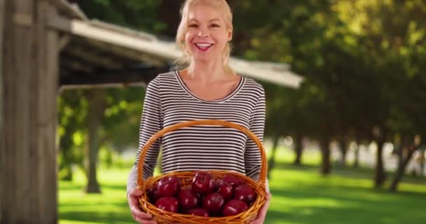 Χαρούμενη Λευκή Γυναίκα Που Κρατάει Καλάθι Βιολογικά Κόκκινα Μήλα Στο — Αρχείο Βίντεο