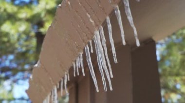 Dışarıdaki çatının kenarındaki buz saçakları eridi. Kabinin çatısındaki eriyen buzun yakın görüntüsü ilkbaharın başlarında pervazlanıyor.