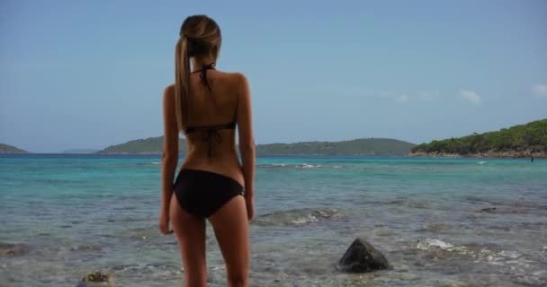 Widok Tyłu Pięknej Kobiety Czarnym Stroju Kąpielowym Samotnie Zewnątrz Nad — Wideo stockowe