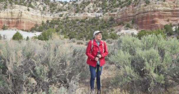 在犹他州锡安 退休的白人妇女在干枯的植被中徒步旅行 在砂岩峡谷中与远足工作人员一起行走的活跃的老年女士 — 图库视频影像