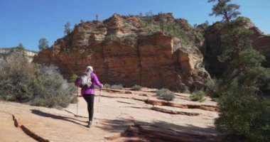Zion Utah 'ta kumtaşı kanyonunda yürüyüş yapan aktif yaşlı bir kadın. Sağlıklı yaşlı bir kadının kayalık yolda kırmızı kumtaşı uçurumuna doğru yürüyüşünün geniş bir görüntüsü.