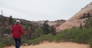 Sağlıklı yaşlı bir kadın Zion Utah 'ta kırmızı kumtaşı kanyonu manzaralı yürüyüş yapıyor. Doğada yürüyen aktif son sınıf öğrencisi bayan kayalık ufka bakıyor.