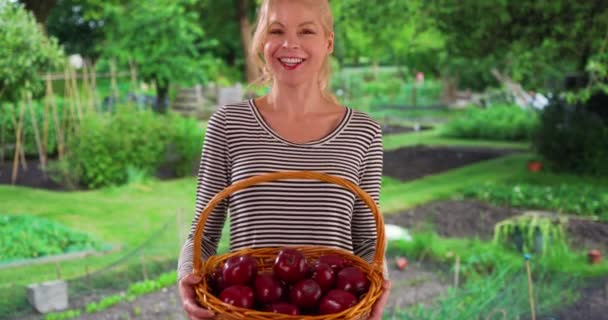 Γυναίκα Κηπουρός Που Καλλιεργεί Φρούτα Και Λαχανικά Ποζάροντας Καλάθι Μήλα — Αρχείο Βίντεο