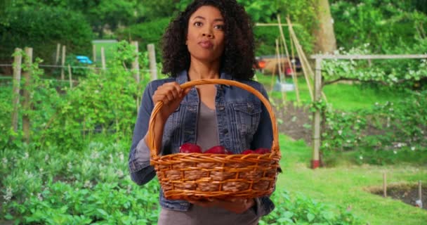 Wesoły Rolnik Pozujący Portretu Koszem Lśniących Pysznych Czerwonych Jabłek Afroamerykanka — Wideo stockowe