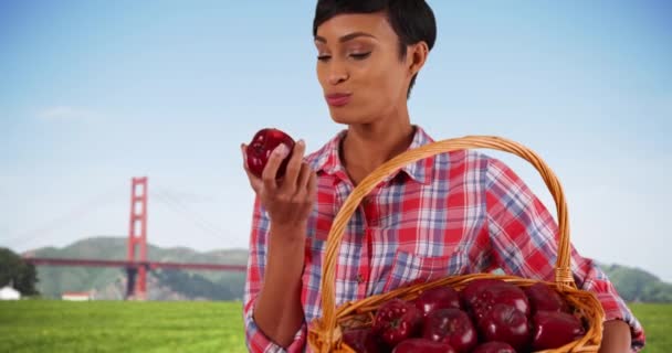 若い黒人女性の背景に新鮮な赤いリンゴ 有名なゴールデンゲートブリッジをかむ 熟した果実のバスケットを保持している陽気な農家は 承認を得て生産し うなずきを味わう — ストック動画