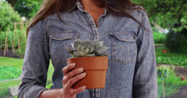 Zamknij Latynoskę Trzymającą Fabrykę Kaktusa Dłoń Młodej Kobiety Trzymającej Mały — Wideo stockowe