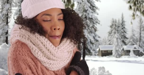 居心地の良い帽子とスカーフでかわいい黒い女性のクローズアップは 雪の森の中で屋外で暖めようとしています 雪の中で外に震えて陽気なアフリカ系アメリカ人女性のクローズアップ — ストック動画
