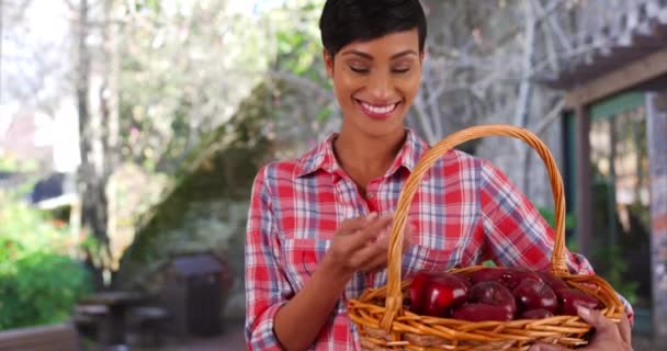 陽気アフリカ系アメリカ人女性有機果物のバスケットを保持し カメラで笑顔 片手に赤りんごを投げる若い黒人女性の肖像画 — ストック動画