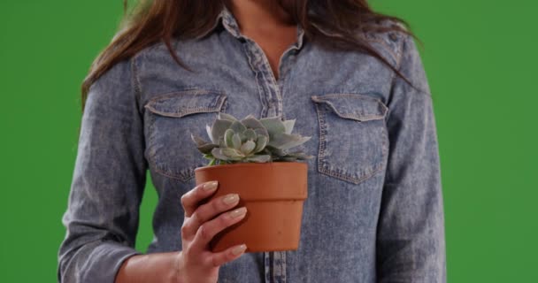 Närbild Spansktalande Kvinna Ledig Skjorta Håller Små Krukväxt Grön Skärm — Stockvideo