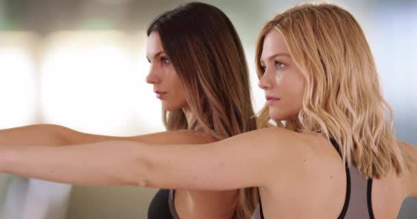 两名年轻貌美的女士在室内瑜伽工作室练习瑜伽的特写镜头 两名健康的白人女性在一起练习瑜伽时伸展身体 — 图库视频影像