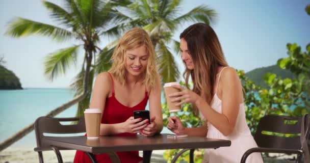 Portret Van Twee Mooie Jonge Vrouwen Zoek Naar Mobiele Telefoon — Stockvideo