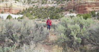 Zion Utah 'taki kumtaşı kanyonunda kuru çalıların arasında yürüyüş yapan mutlu yaşlı kadın. Kuru bir iklimde yürüyüş personeliyle yürüyen maceraperest, beyaz bir kadın.