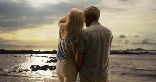 老夫妇一起站在海滩上看日落 一对快乐的老夫妇欣赏海滨美景 — 图库视频影像