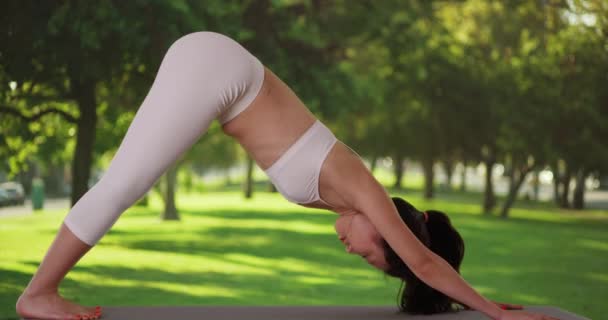Retrato Perfil Una Mujer Milenaria Haciendo Yoga Aire Libre Parque — Vídeos de Stock