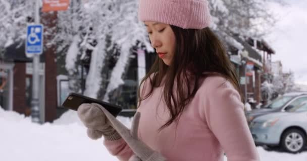 Neşeli Milenyum Kadını Akıllı Telefon Kullanarak Mesaj Gönderiyor Kar Tanesi — Stok video