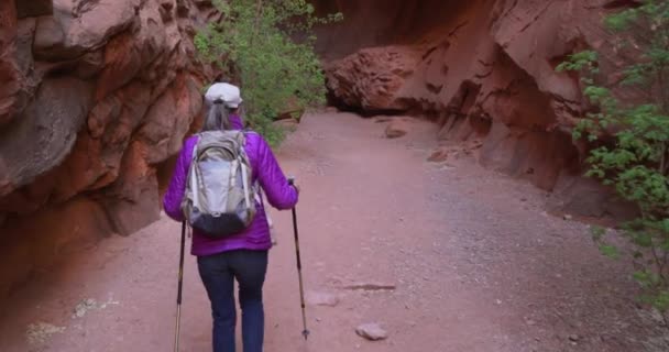 犹他州锡安市的老女探险家徒步旅行到红砂岩峡谷 活跃的老年妇女在白天走过自然小径 — 图库视频影像