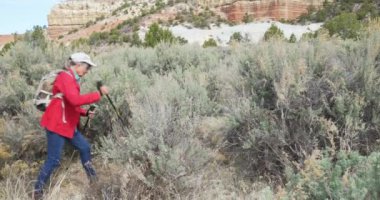 Zion Utah 'ta kuru iklim ortamından geçen sağlıklı bir kadın hobici. Uzun otların arasında yürüyüş yapan neşeli yaşlı kadın ve doğa da çalılar.