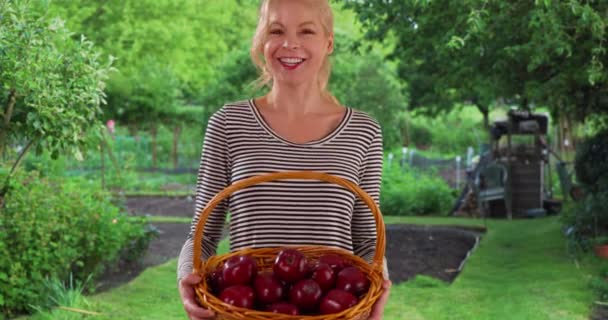 乡下快乐的女人拿着一篮子红苹果 女性园丁伸出一篮子新鲜的 有机的水果的笑脸 — 图库视频影像