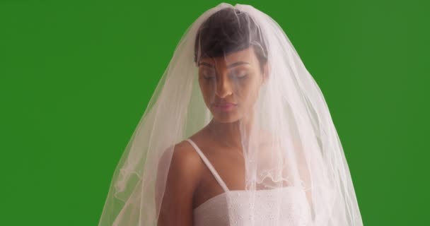 Porträt Einer Eleganten Braut Die Mit Verschleiertem Gesicht Auf Einem — Stockvideo