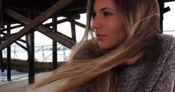 Krásná Žena Dlouhými Hnědými Vlasy Vlála Větru Mola Pláži Zamyšlená — Stock video
