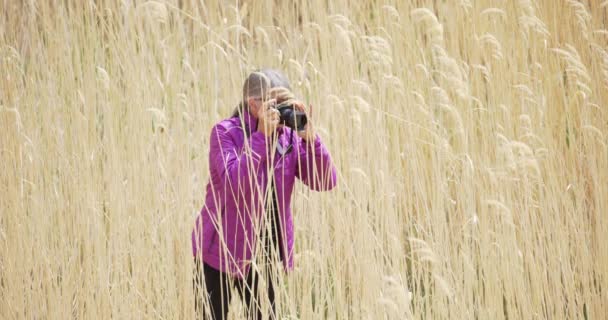 Γυναίκα Φωτογράφος Στέκεται Ψηλό Γρασίδι Λήψη Εικόνων Dslr Κάμερα Εξωτερικούς — Αρχείο Βίντεο