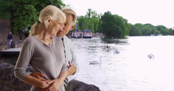 Счастливая Зрелая Пара Смотрит Лебедей Плавающих Водном Канале Пенсионеры Наслаждаются — стоковое видео