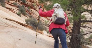 Zion Utah 'ta kumtaşı uçurumunda yürüyüş yapan aktif yaşlı bir kadın. Doğada kayalık yolda yürüyen maceraperest yaşlı bayan.
