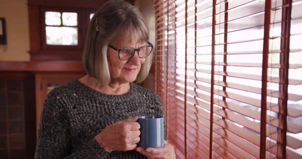 Söt Äldre Kvinna Med Kaffemugg Tittar Genom Fönstret Från Vardagsrummet — Stockvideo