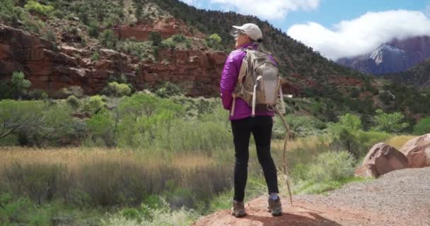 Joven Mujer Mayor Admirando Paisaje Del Cañón Zion Utah Activa — Vídeo de stock